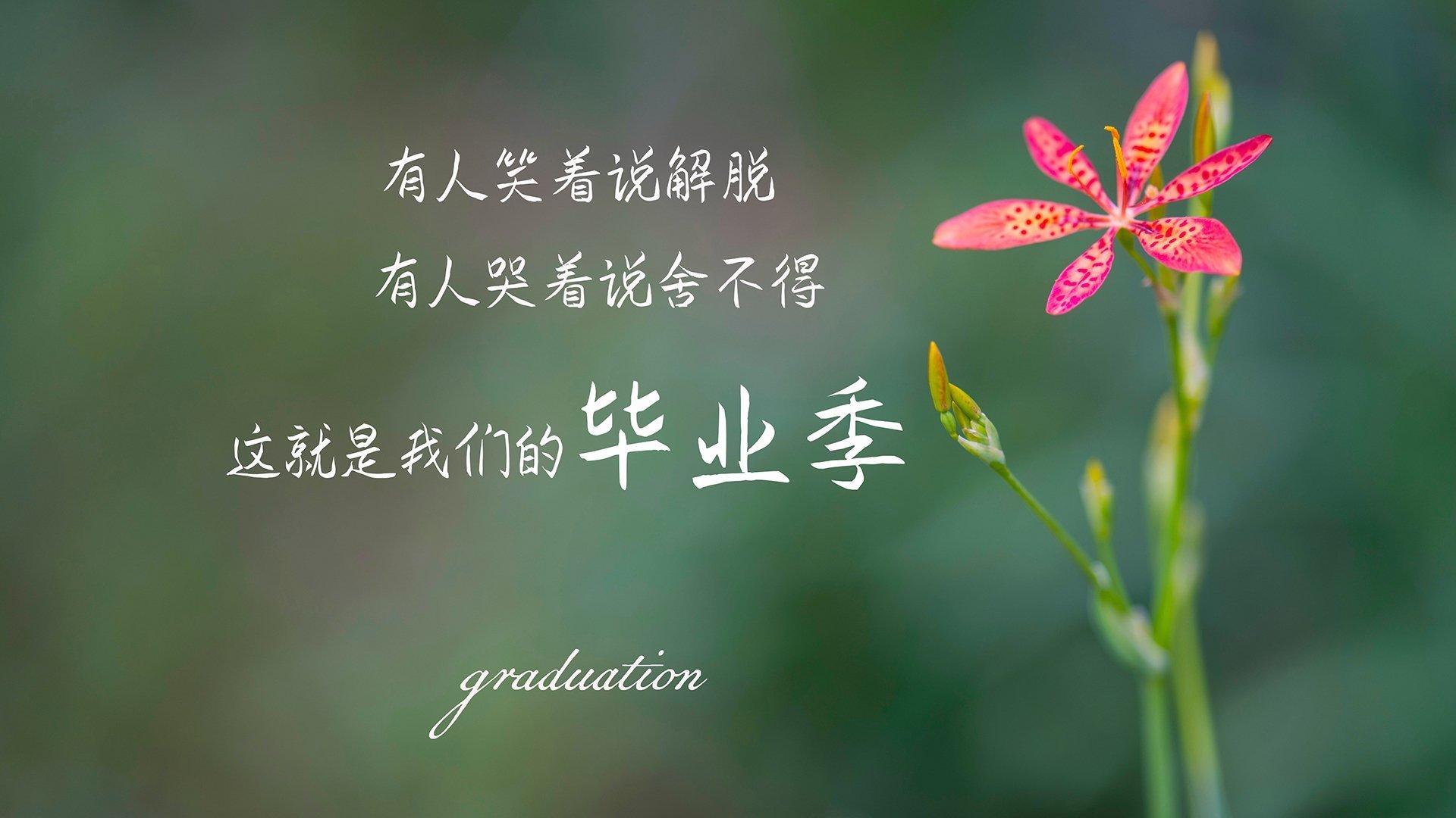 校园体育活动组织管理创新研究，校园体育活动组织管理创新研究方案