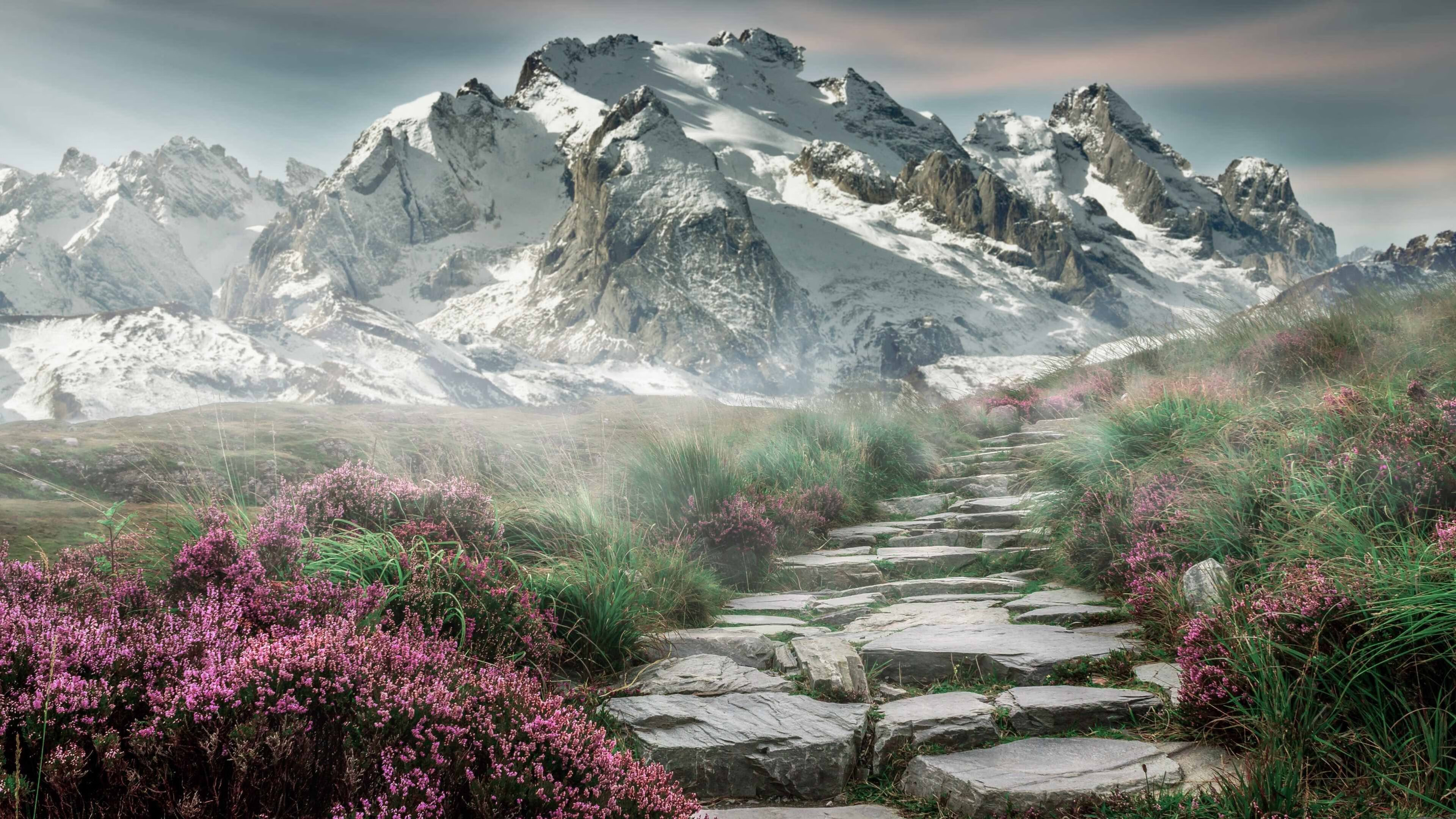 CBA赛季赛事吸引大量关注，cba赛季赛程