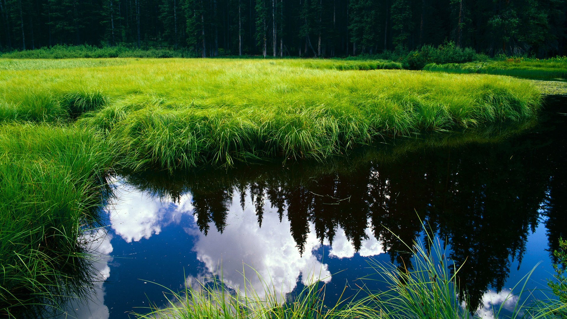 华体会登录地址-东亚杯中国足球平局 球员心态保持稳定，东亚杯国足成绩