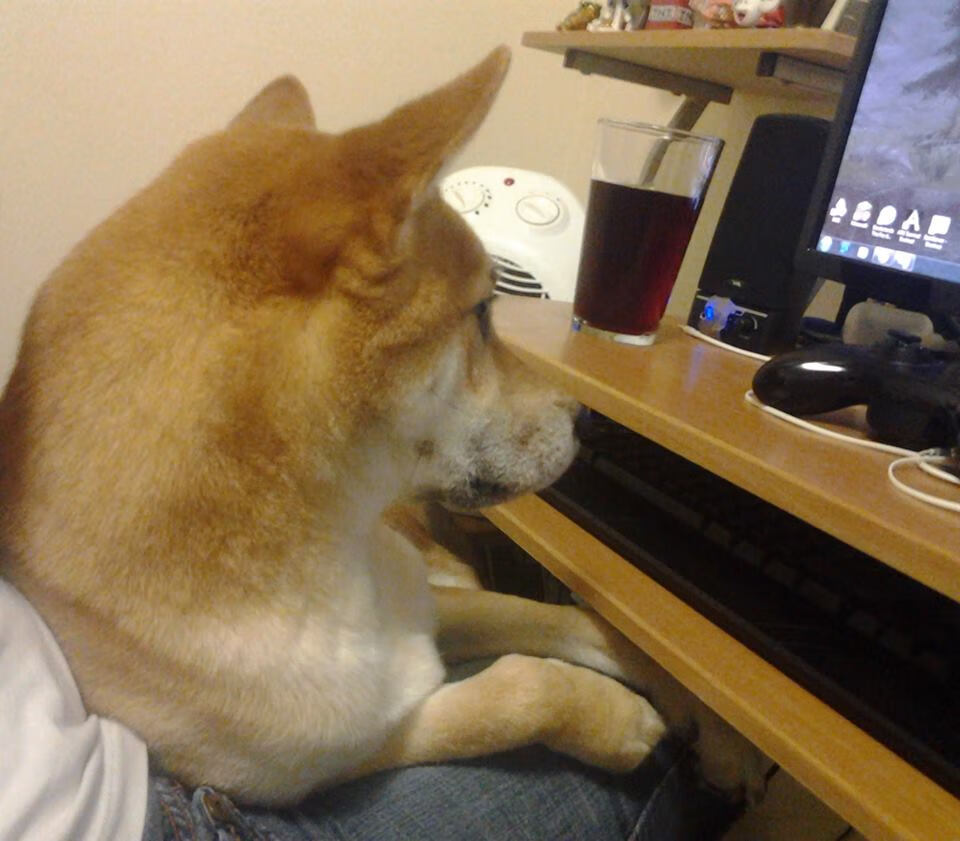 华体会app下载-体育新闻中心发布体育赛事虚拟直播互动技术，体育赛事直播方案