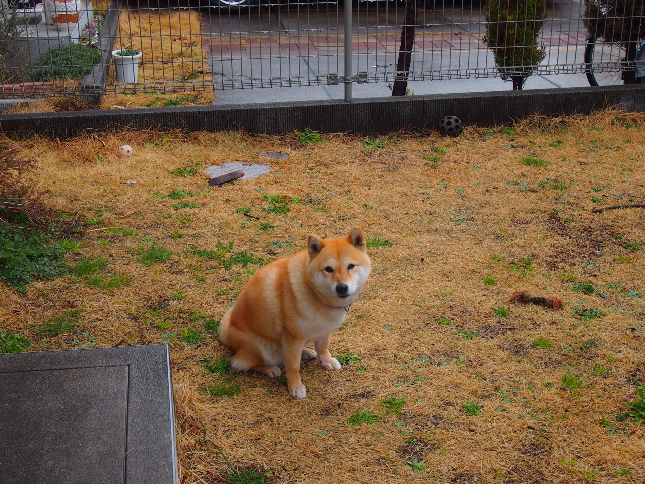 华体会在线登录-高压造失误，引发对手自乱阵脚，高压事故是什么意思