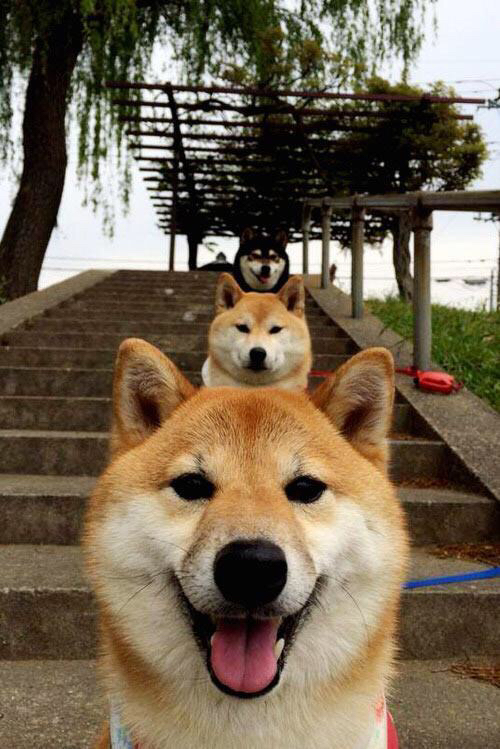 华体会登录地址-亚洲冠军杯中，印度队韩战不断，展现潜力无限，印度亚洲杯历史成绩