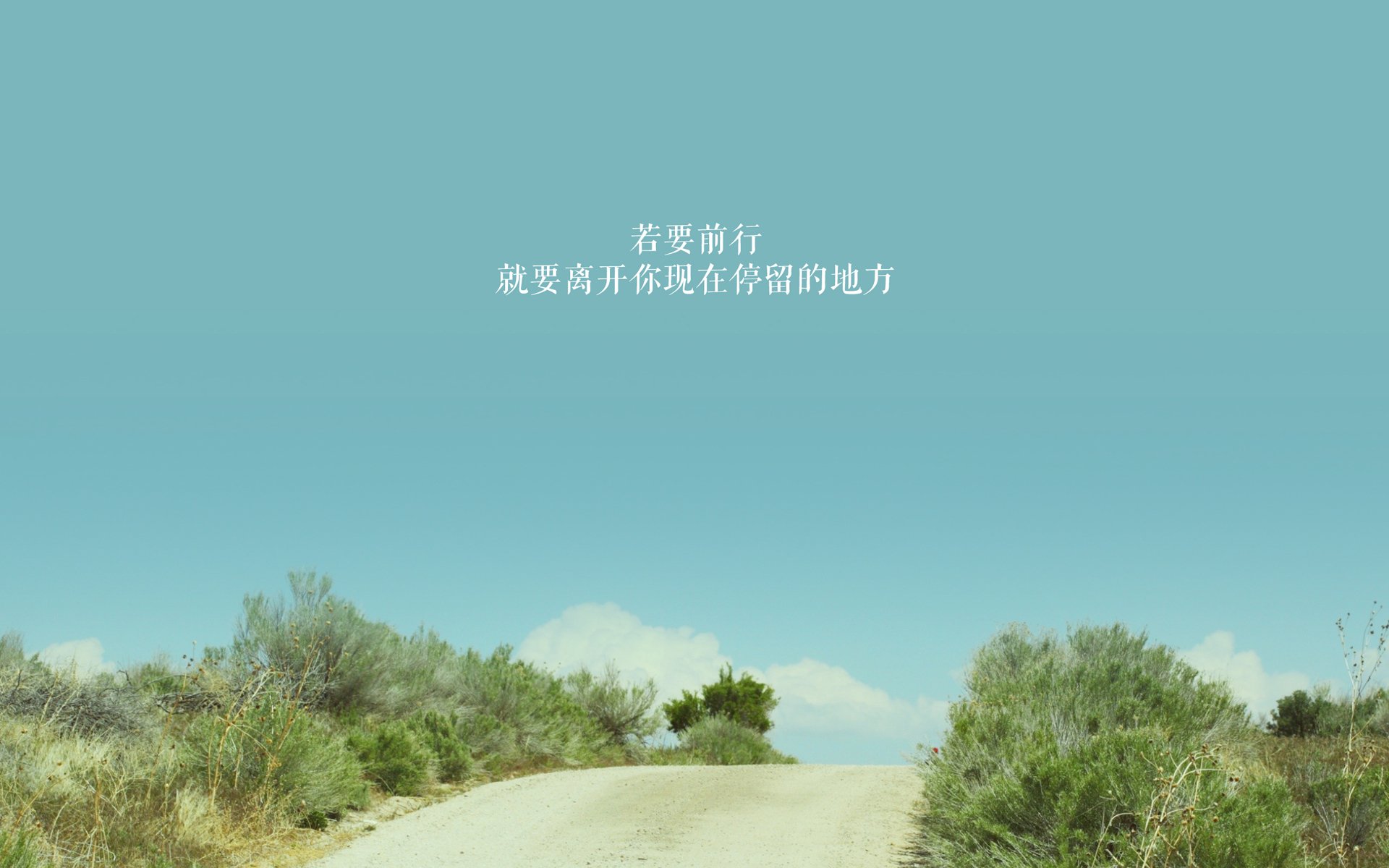 全黑队反击速度快,迅速转守为攻,成为赛事亮点,全黑队服