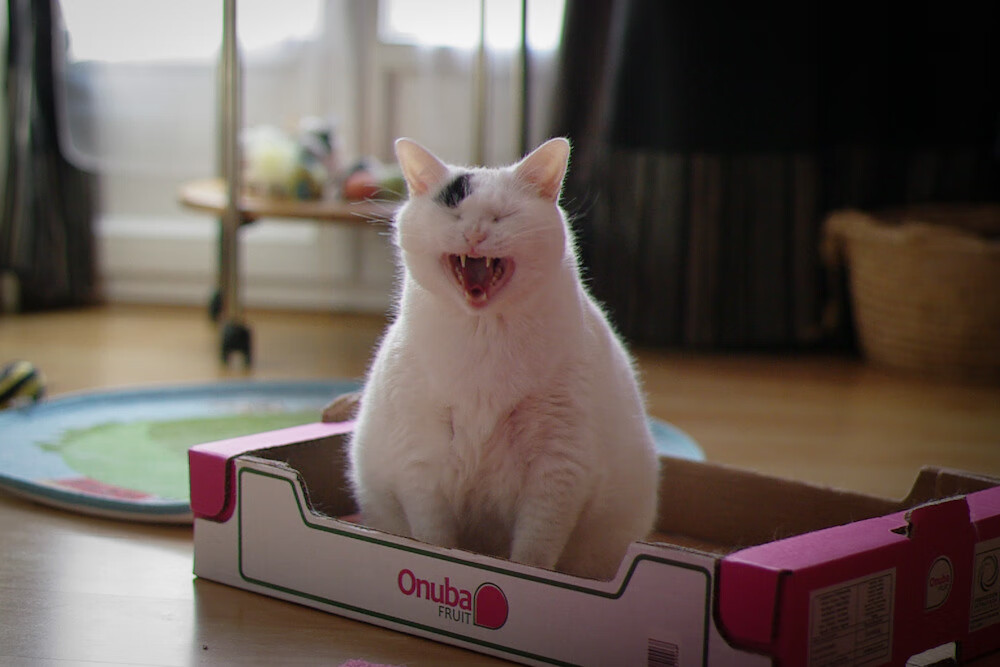 中国足球俱乐部推动球员社交形象与品牌管理教育，足球俱乐部现状